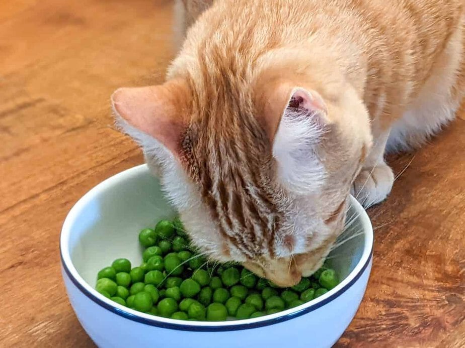 Are peas outlet bad for cats